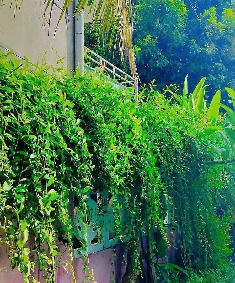 Hoi An Mountain House Villa