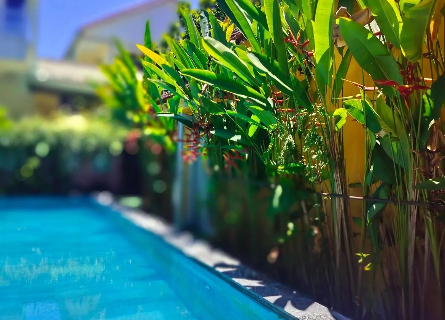 Hoi An Mountain House Villa